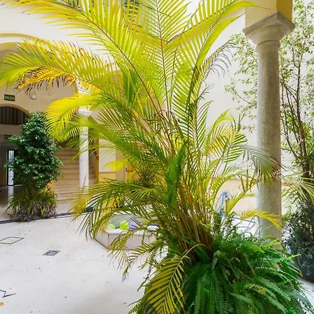 Cozy Duplex - 2 Bathrooms - Historic Centre Apartment *